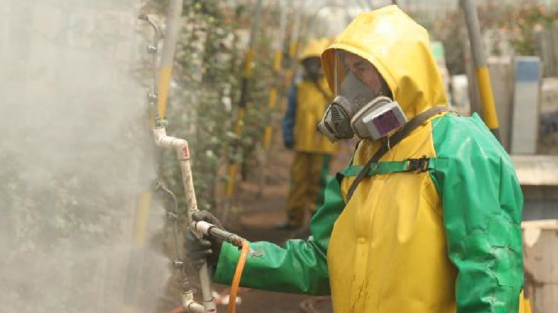 Pesticidas provocan 200 mil muertes cada año ONU Total Sapiens