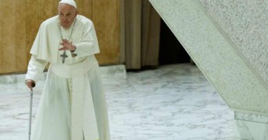 Papa Francisco llama a mayor cooperación global ante crisis climática