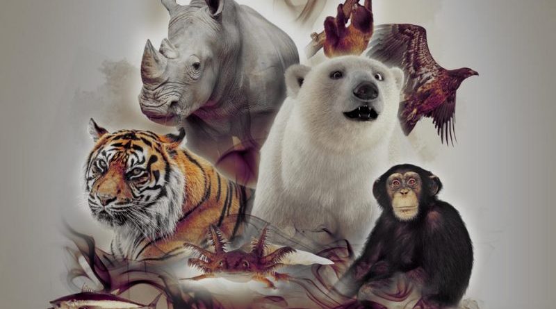 Más De 500 Especies Están En Peligro De Extinción Total Sapiens
