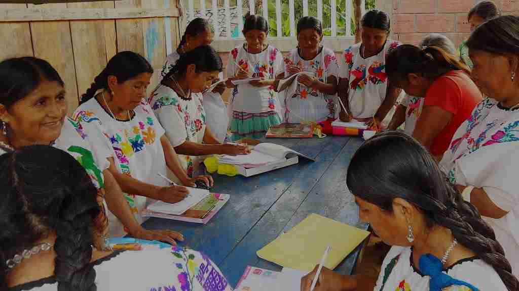 Pega Rezago Educativo A Más De 28 Millones De Mexicanos Total Sapiens 8009