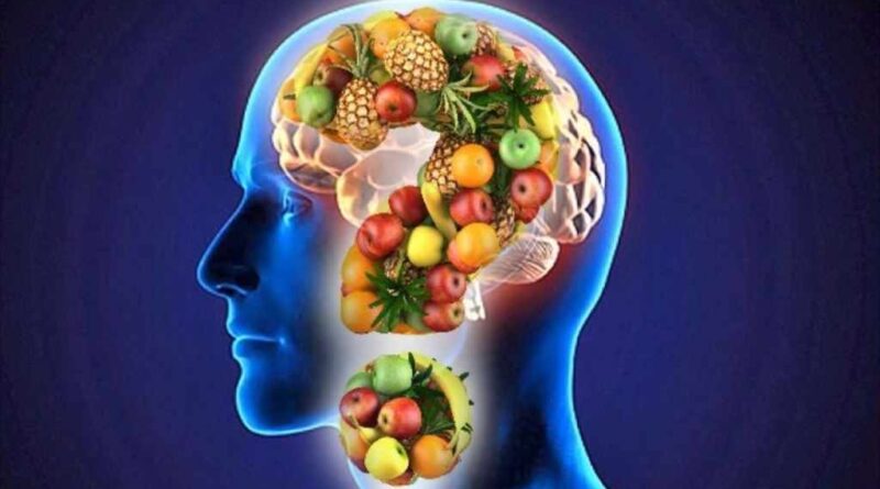 Dieta Equilibrada Y Estilo De Vida Mejoran Salud Cerebral Total Sapiens