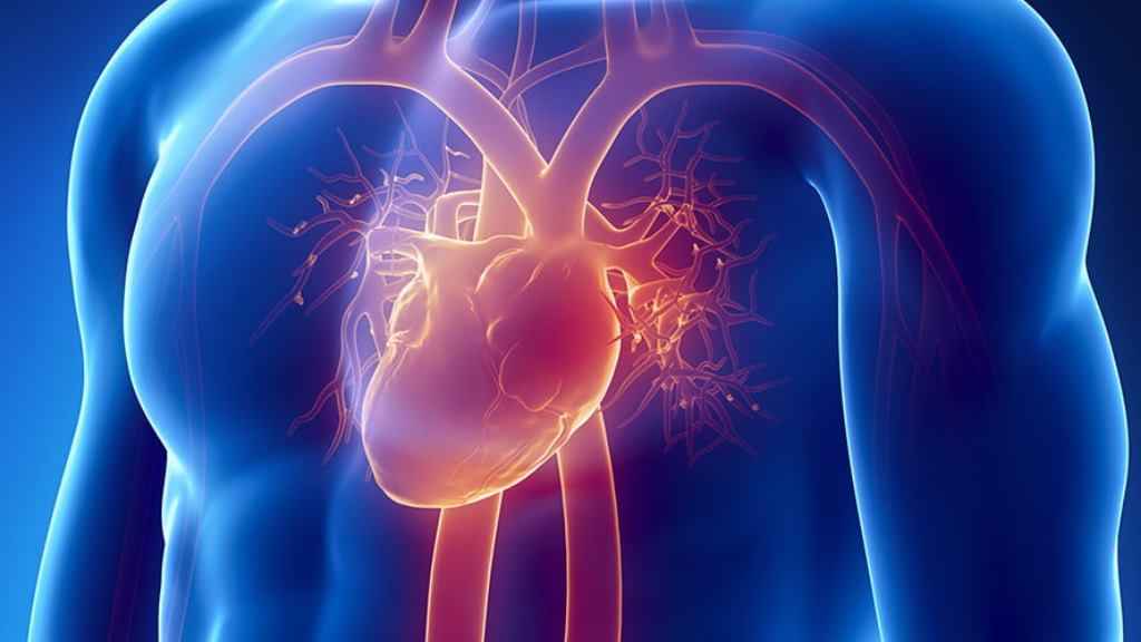 Amenazan Cardiopatías A 60% De Costarricenses 