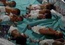 14 mil bebés en antesala de la muerte por bloqueo israelí