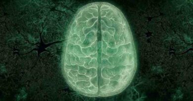 Explora secretos de la mente en documentales del cerebro Explora secretos de la mente en documentales del cerebro