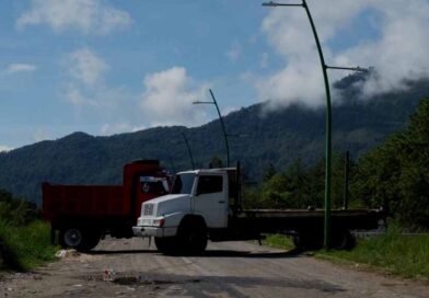 Aseguran 12 aserraderos clandestinos en Altamirano