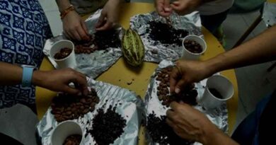 Museo ‘La Cacaotera’ reconecta a visitantes con tradiciones Museo ‘La Cacaotera’ reconecta a visitantes con tradiciones