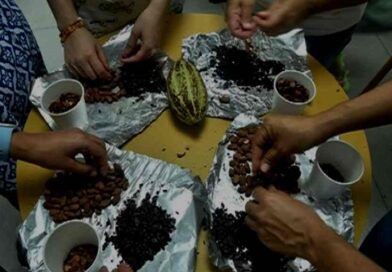 Museo ‘La Cacaotera’ reconecta a visitantes con tradiciones