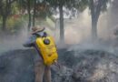 Controlan bomberos incendio de potrero en V. Carranza