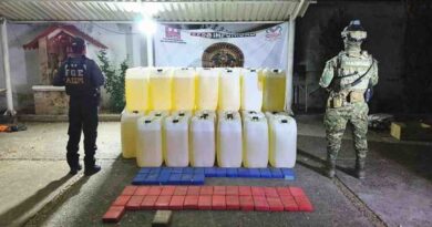 Aseguran narcóticos, armas y combustibles en Chiapas Aseguran narcóticos, armas y combustibles en Chiapas