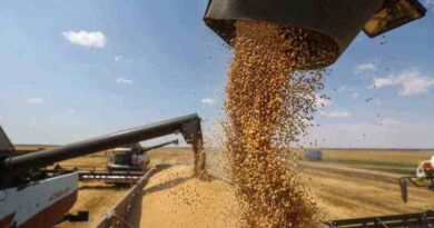 Rusia exportará 60 millones de toneladas de grano Rusia exportará 60 millones de toneladas de grano