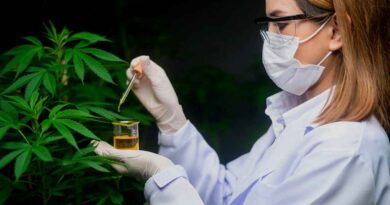 CBD sin THC: qué significa y por qué importa al consumidor