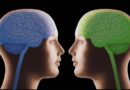 Gemelos idénticos, ¿cerebros distintos? Gemelos idénticos, ¿cerebros distintos?