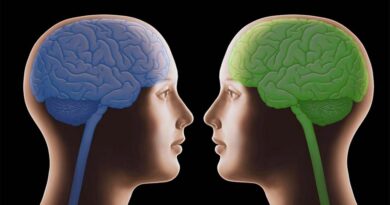 Gemelos idénticos, ¿cerebros distintos? Gemelos idénticos, ¿cerebros distintos?