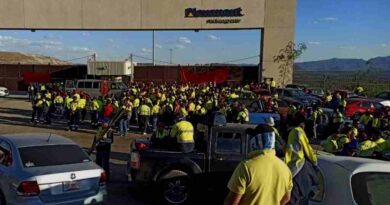 1.5 MDP a cada minero de Peñasquito por reparto de utilidades