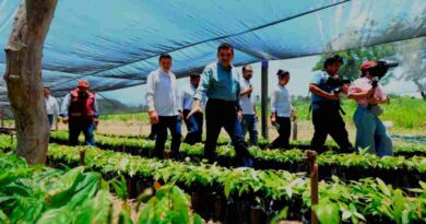 Avanza Tabasco en autosuficiencia alimentaria con Sembrando Vida