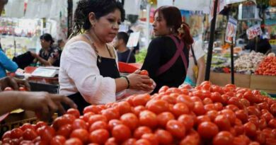 Baja inflación en México a 3.1 por ciento anual Baja inflación en México a 3.1 por ciento anual