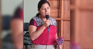 Destaca titular del CELALI boom artístico y cultural en Chiapas Destaca titular del CELALI boom artístico y cultural en Chiapas
