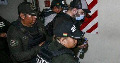Cerimedo pretendía reventar elecciones en México Cerimedo pretendía reventar elecciones en México