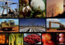 Avanza economía mexicana 1.9% en primer semestre