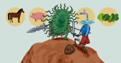 Bacteria resistente a antibióticos se encuentra en múltiples huéspedes Bacteria resistente a antibióticos se encuentra en múltiples huéspedes