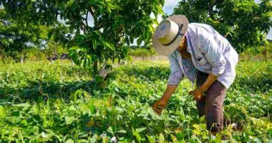 Urge un relevo generacional en el campo mexicano