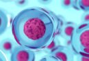 Fisiología Celular lanza la primera edición del Cell Fest Fisiología Celular lanza la primera edición del Cell Fest