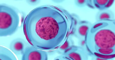 Fisiología Celular lanza la primera edición del Cell Fest