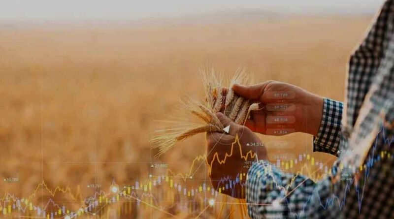 Crecen las exportaciones agrícolas rusas a Sudamérica