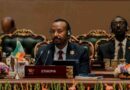 Abogan mayor representación africana en BRICS Abogan mayor representación africana en BRICS