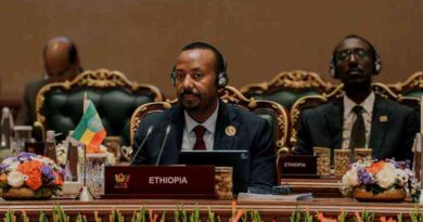 Abogan mayor representación africana en BRICS Abogan mayor representación africana en BRICS