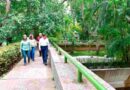 Anuncia May reapertura del Parque Museo La Venta el 26 de octubre