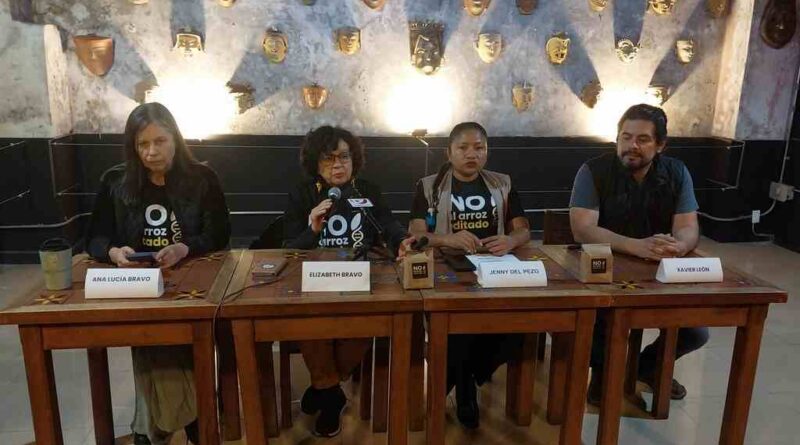 Alertan por arroz editado genéticamente en Ecuador