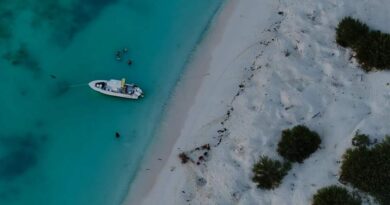 Aseguran naves que afectaban hábitat de Arrecife Alacranes Aseguran naves que afectaban hábitat de Arrecife Alacranes
