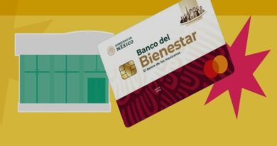 Alerta por fallas en programa de becas Benito Juárez Alerta por fallas en programa de becas Benito Juárez