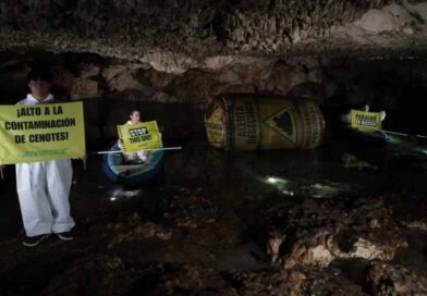 Su mierda, aquí no, espetan activistas a granjeros porcícolas Su mierda, aquí no, espetan activistas a granjeros porcícolas
