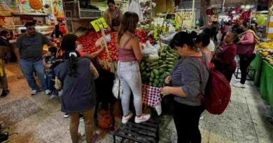 Por qué rinde más el ingreso en los hogares mexicanos Por qué rinde más el ingreso en los hogares mexicanos