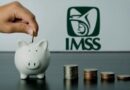 ‘Curar’ al IMSS requiere hacer un diagnóstico a fondo