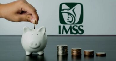 ‘Curar’ al IMSS requiere hacer un diagnóstico a fondo ‘Curar’ al IMSS requiere hacer un diagnóstico a fondo
