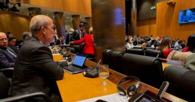 En riesgo democracia, desarrollo y soberanía de países