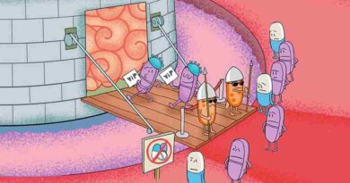Podrían ayudar a la medicina nanovehículos del CNyN Podrían ayudar a la medicina nanovehículos del CNyN