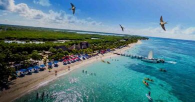 Ajustan estrategias comerciales del Caribe Mexicano