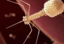 Inyectan virus diseñado por IA a una persona en Estados Unidos