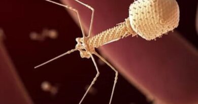 Inyectan virus diseñado por IA a una persona en Estados Unidos Inyectan virus diseñado por IA a una persona en Estados Unidos